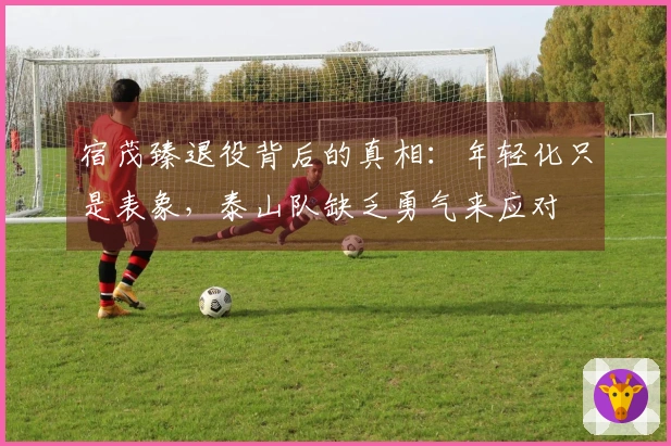 宿茂臻退役背后的真相：年轻化只是表象，泰山队缺乏勇气来应对